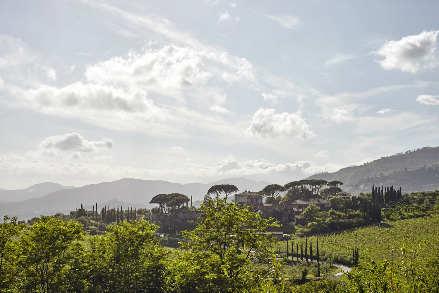 Tenuta di Valgiano