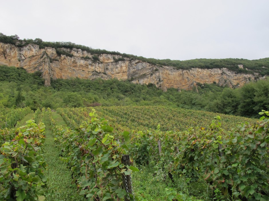 La Vigne du Perron