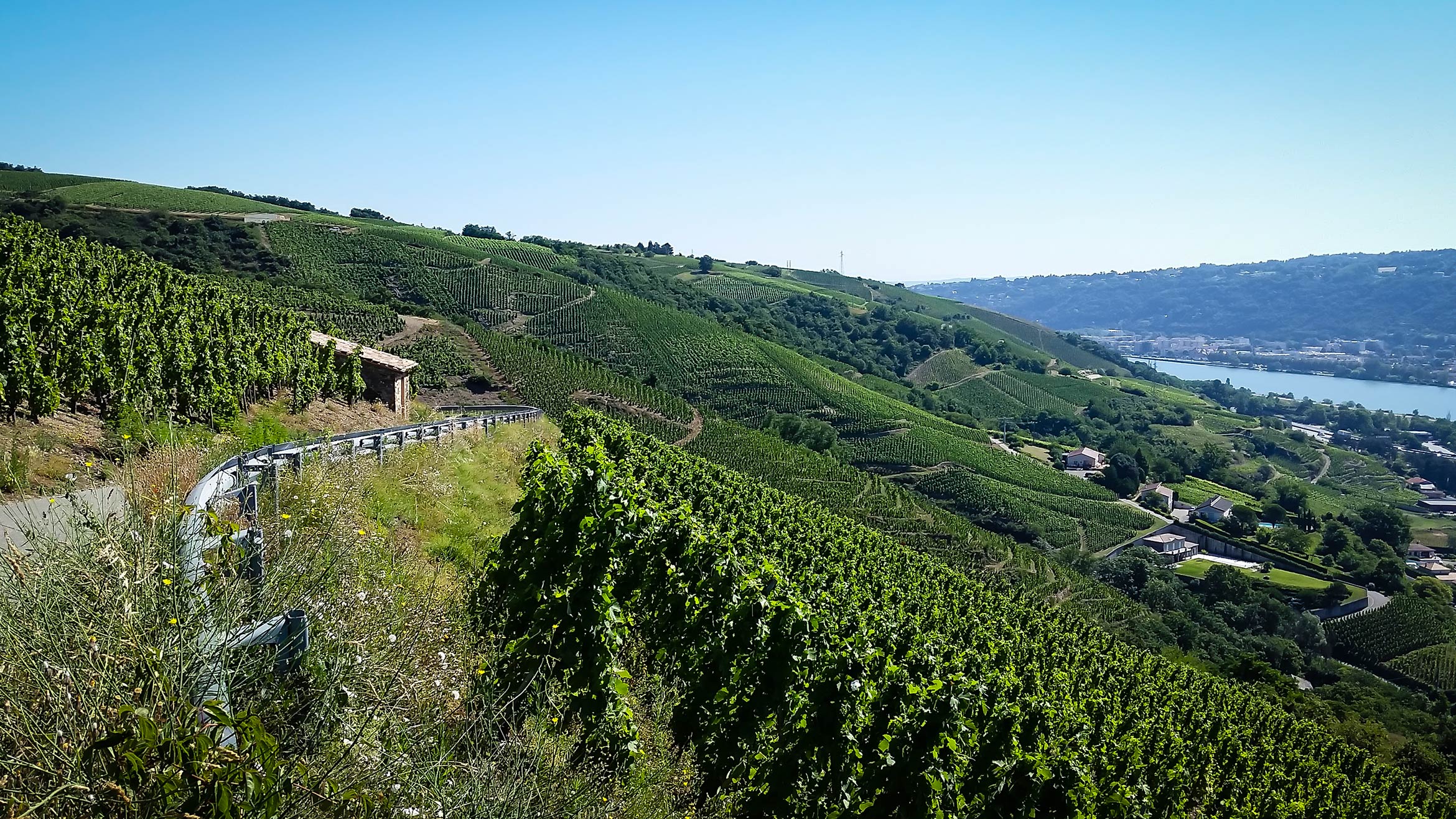 Domaine de la Grande Colline